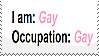 white background with black text reading I am: Gay Occupation: Gay. both times gay is in pink.
