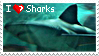image of a blue shark with text reading: i <3 sharks